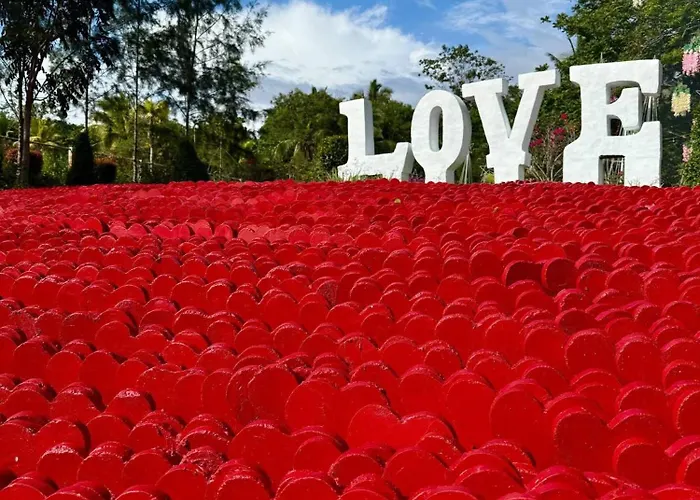 Jardin De Ysabelle
